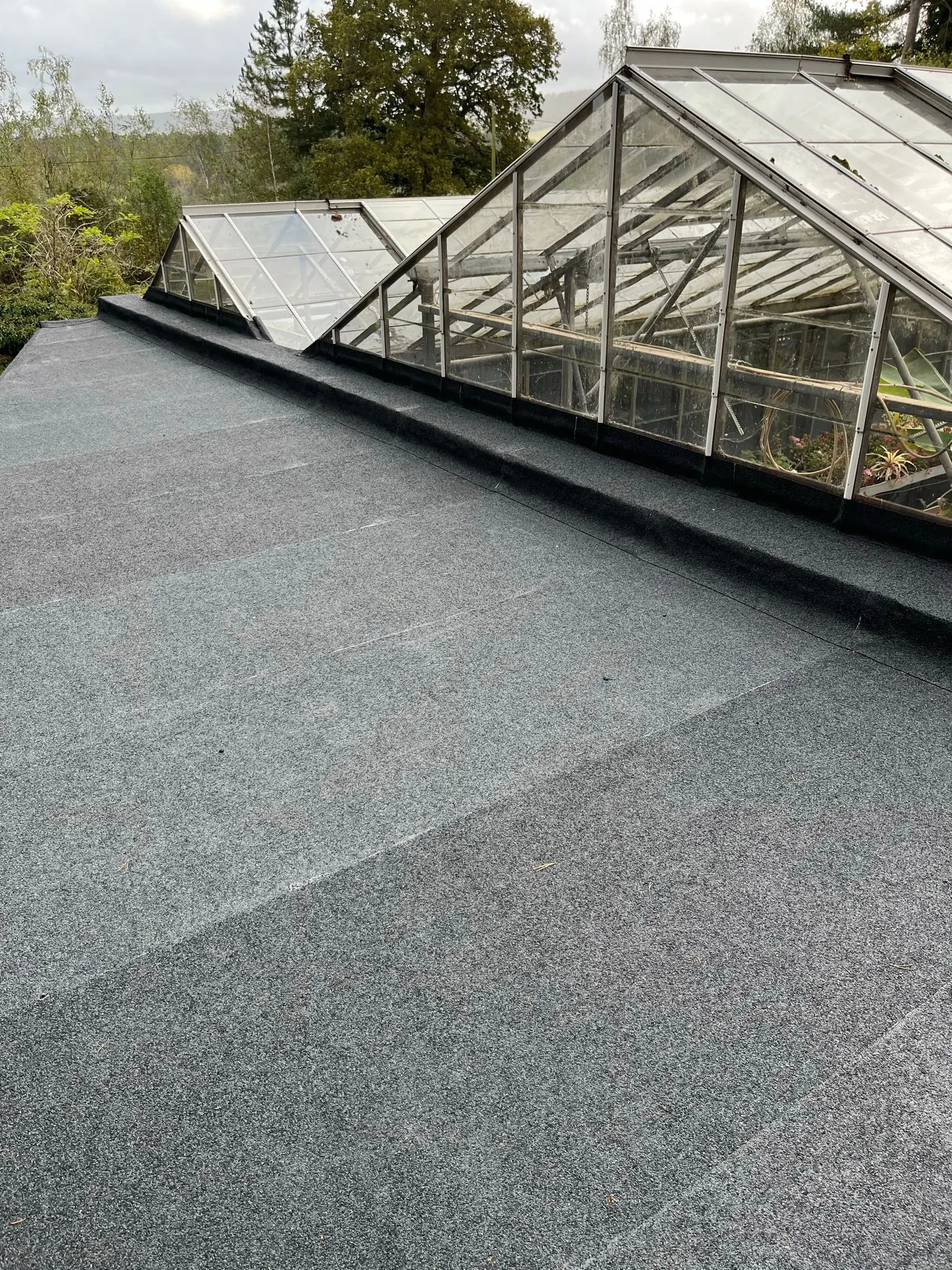 flat roof in woking